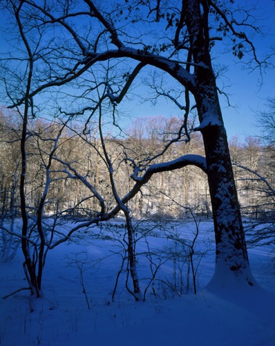 Lake Surprise, Watchung Mountain Reservation, Union County, NJ Vert (MF).jpg